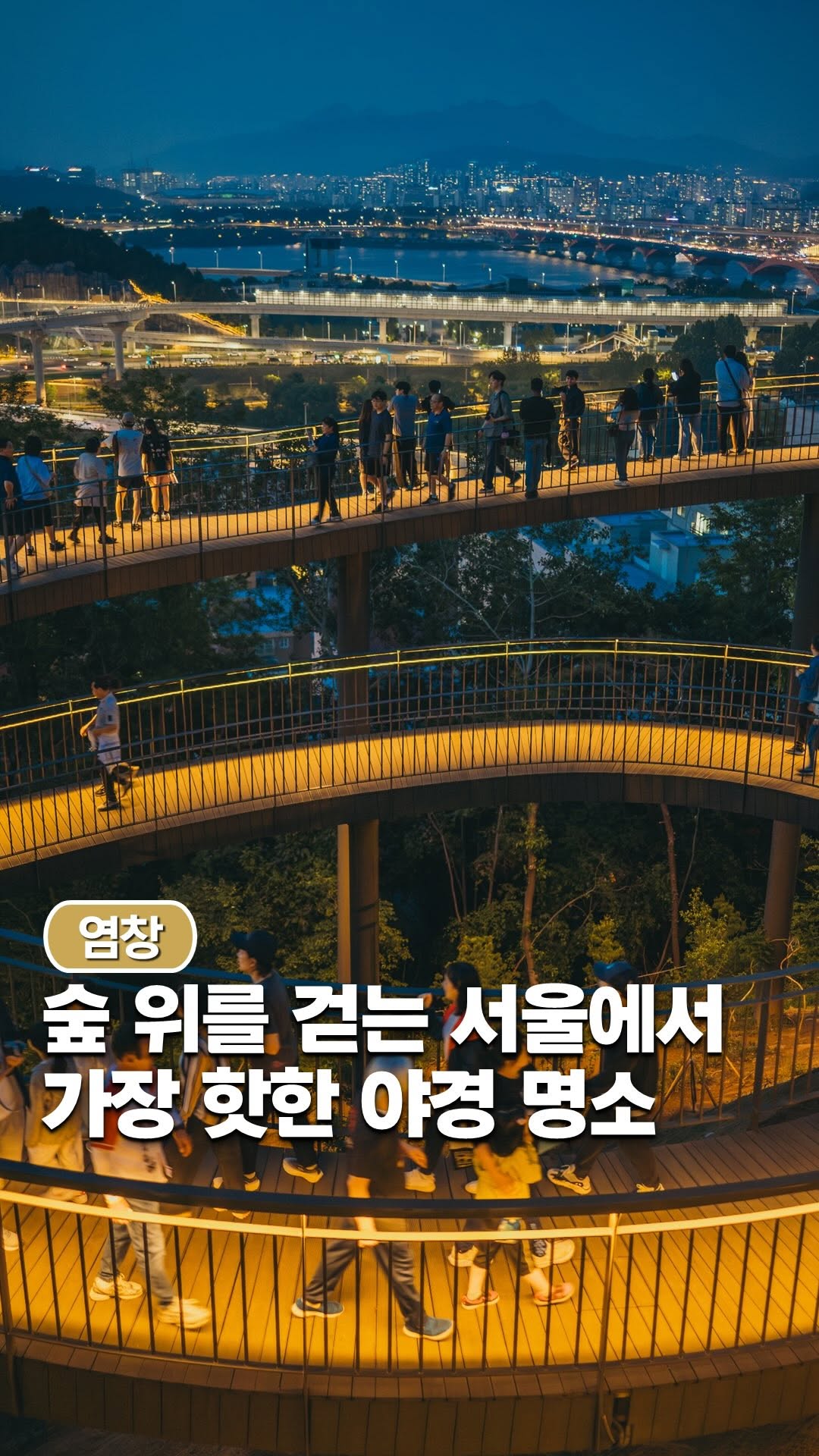Seoul Skywalks Offer Panoramic City Night Views