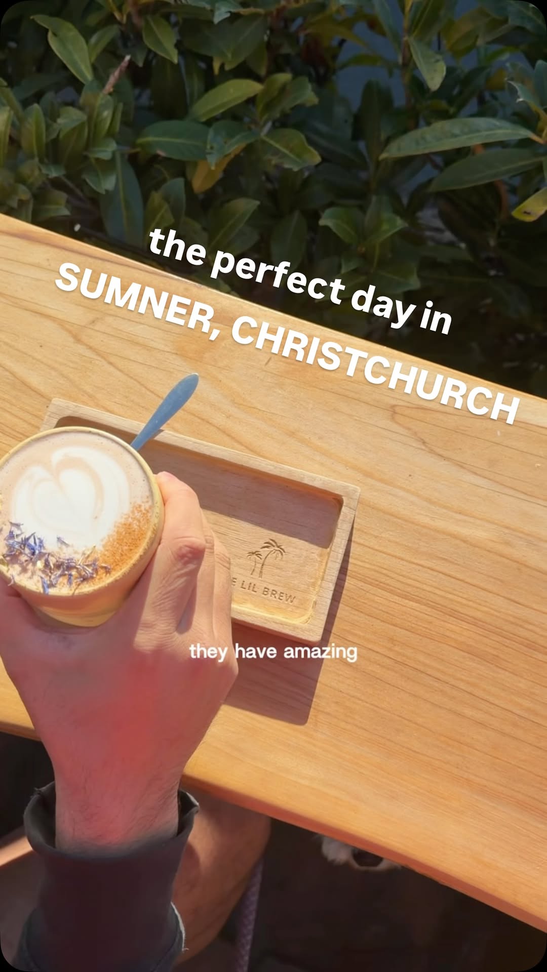6 Places in Christchurch