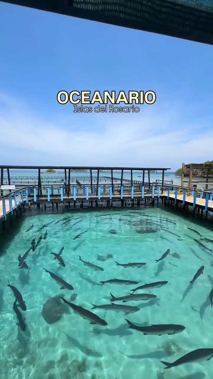 3 Attractions in Colombia
