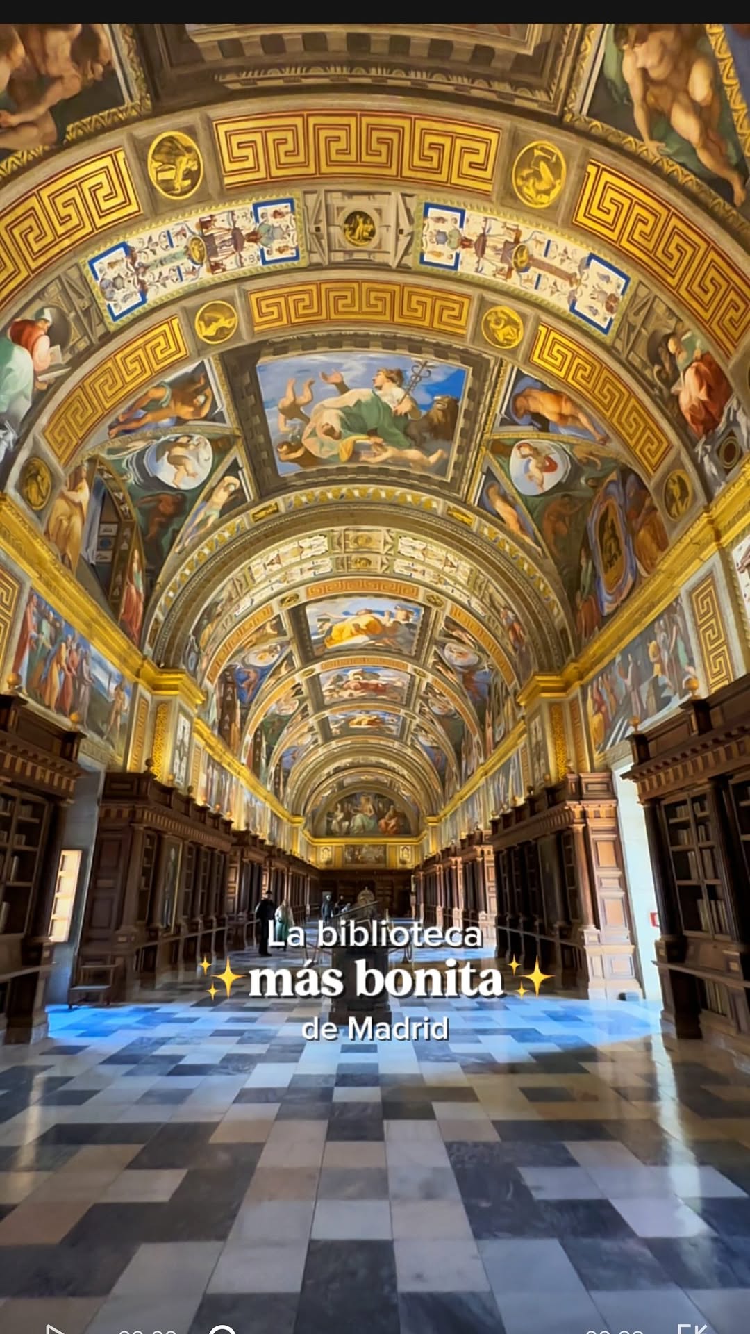 Madrid's Most Beautiful Library Features Renaissance Art