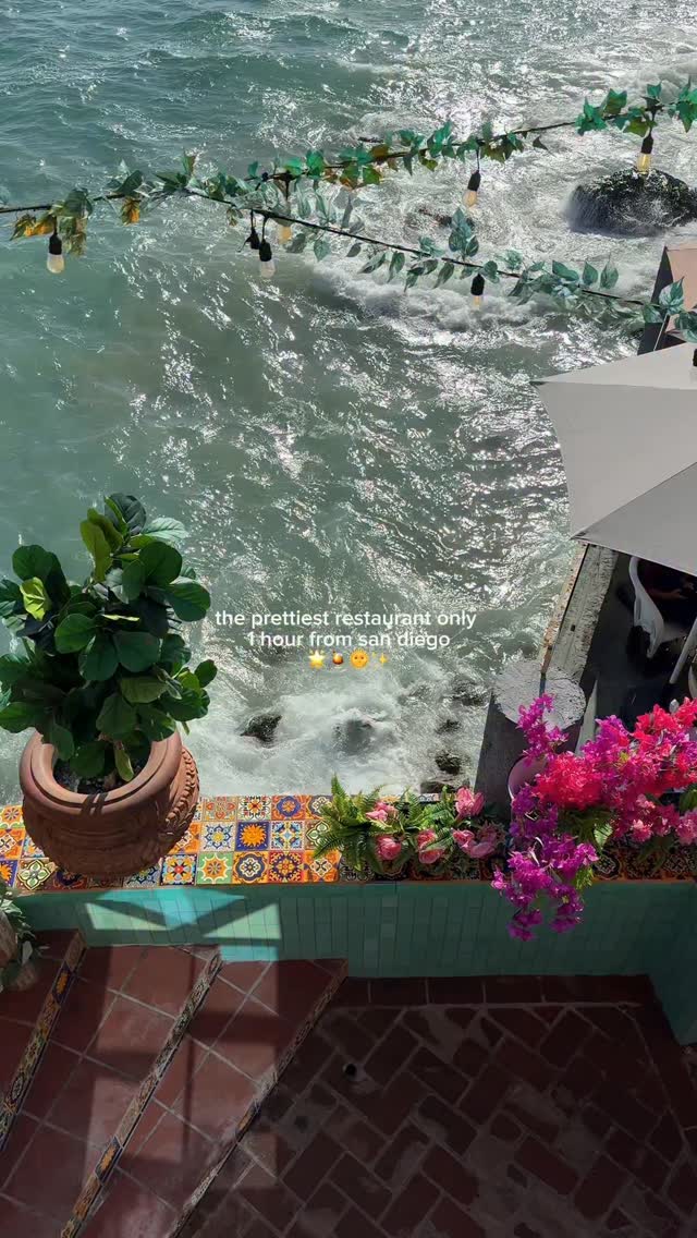 1 Restaurants in Playas de Rosarito