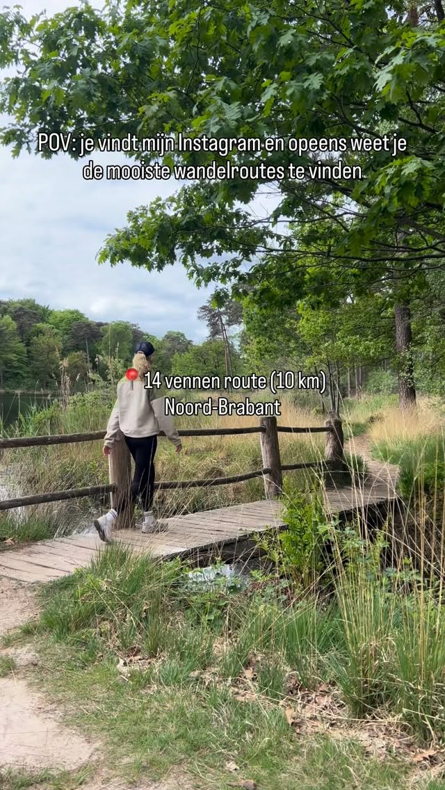 Scenic Hiking Trails Across The Netherlands