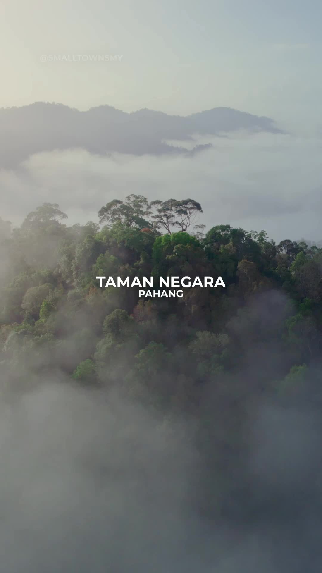 Small Towns Malaysia, Mutiara Taman Negara