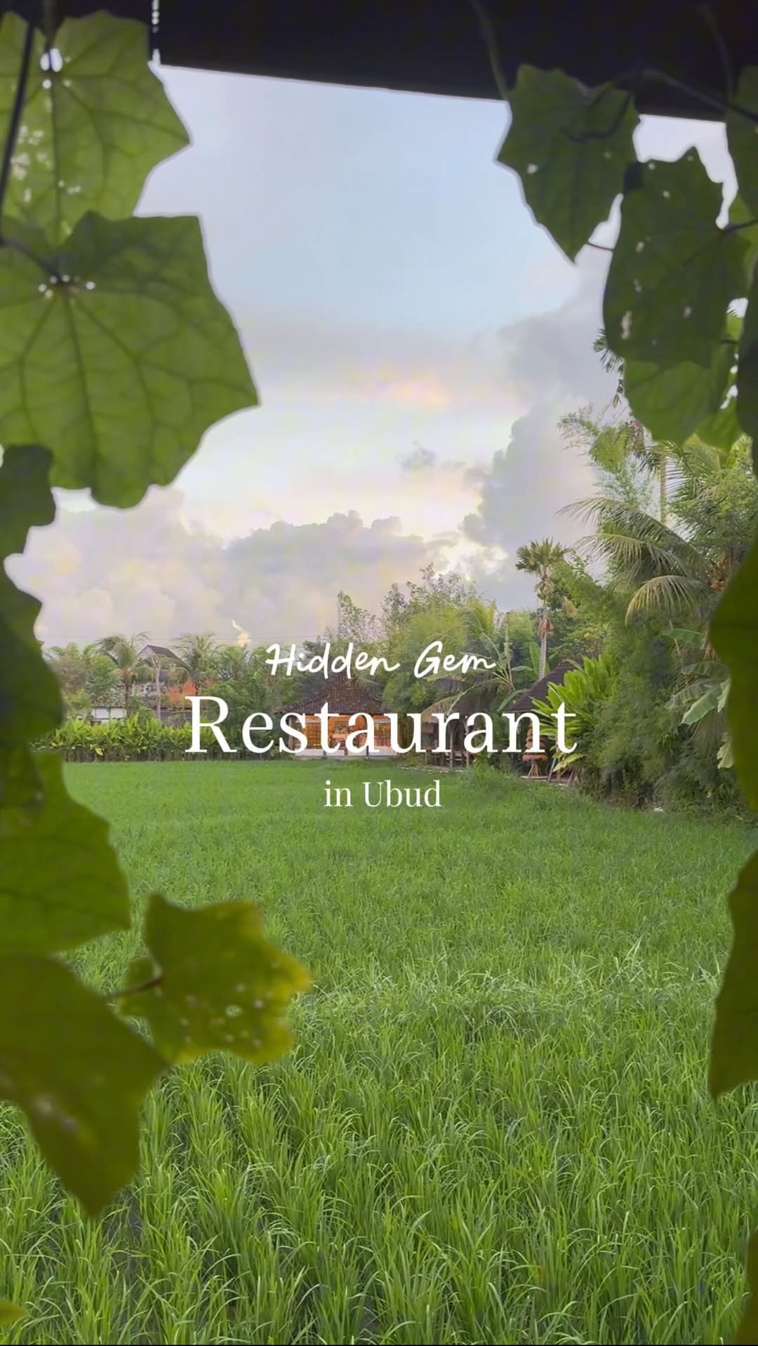 Wedja Restaurant's Culinary Delights