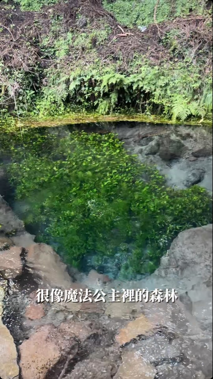 Forests and Scenic Views in Yufuin