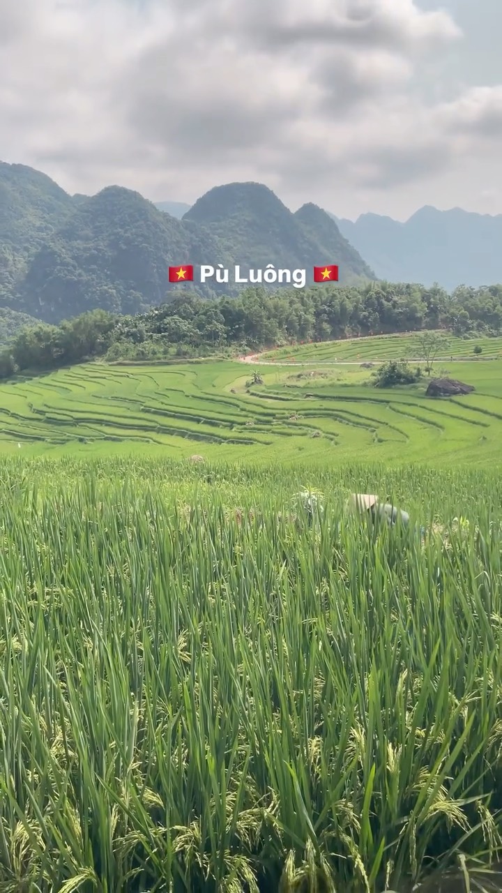 2 Parks in Vietnam