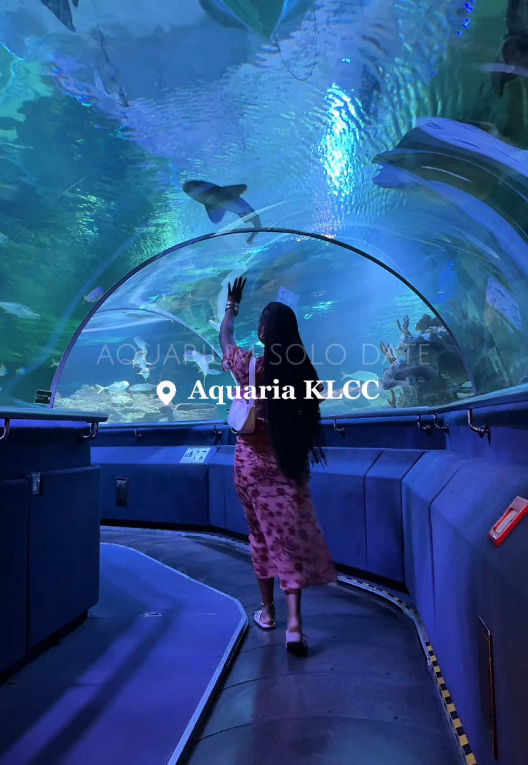 Aquaria KLCC: A Malaysian Underwater Adventure