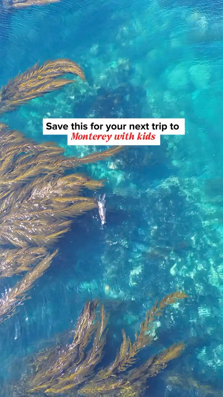 8 Places in Monterey