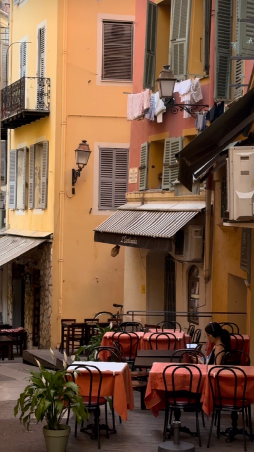 Charming Wine Bar in Old Nice