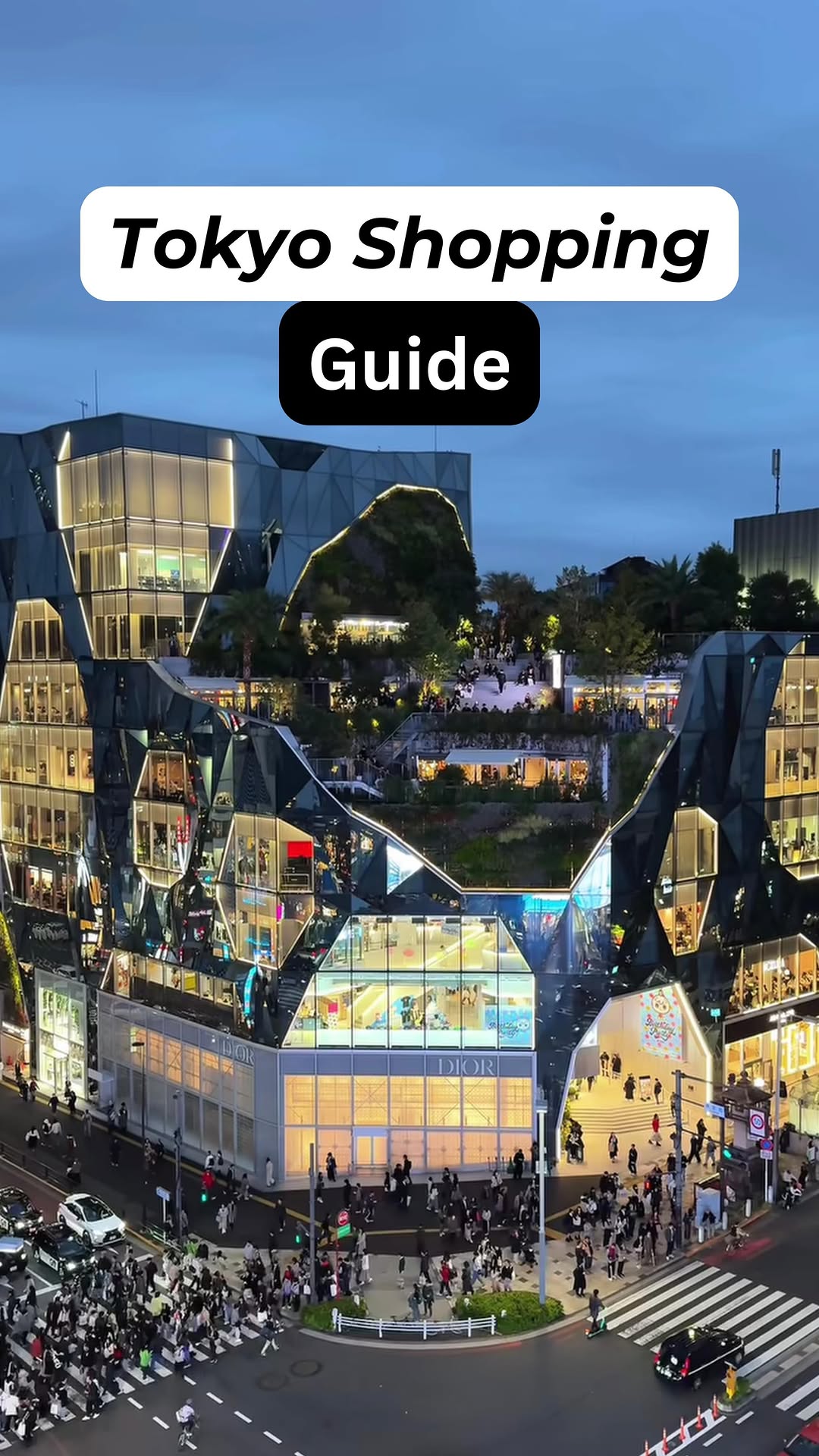 29 Shops in Tokyo