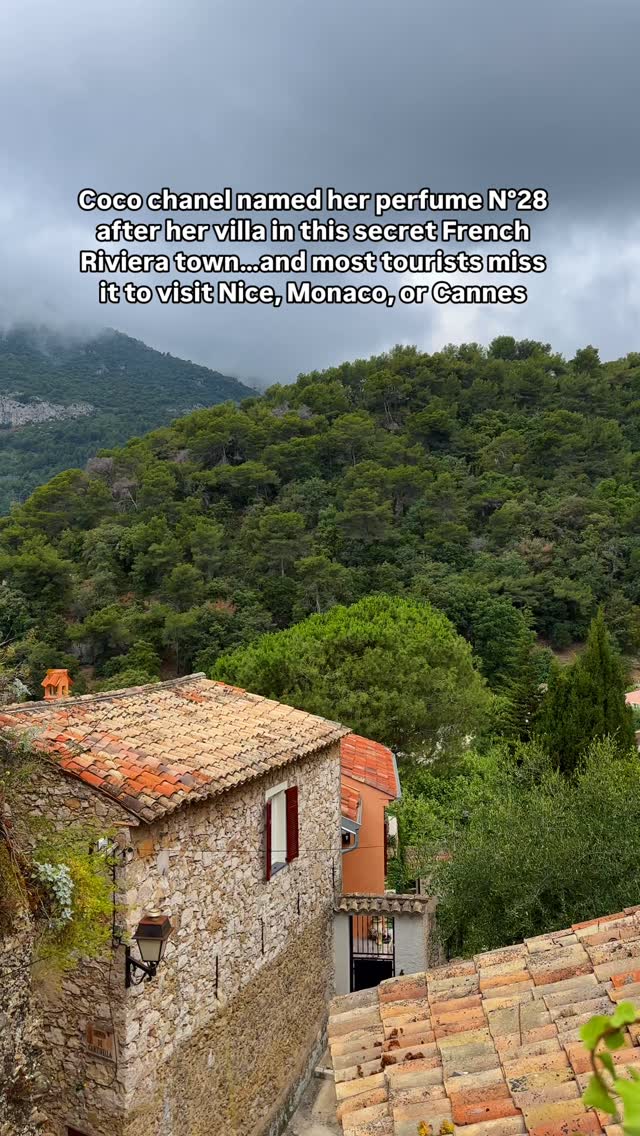 Roquebrune-Cap-Martin: Castle, Ancient Olive Tree, Views