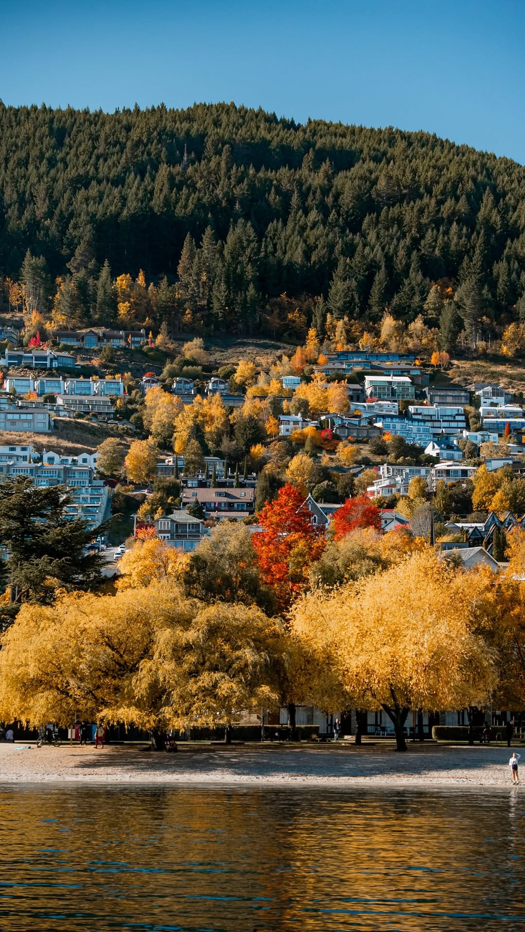 5 Places in New Zealand