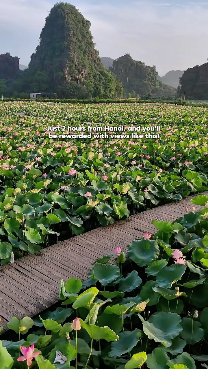 2 Nature spots in Vietnam
