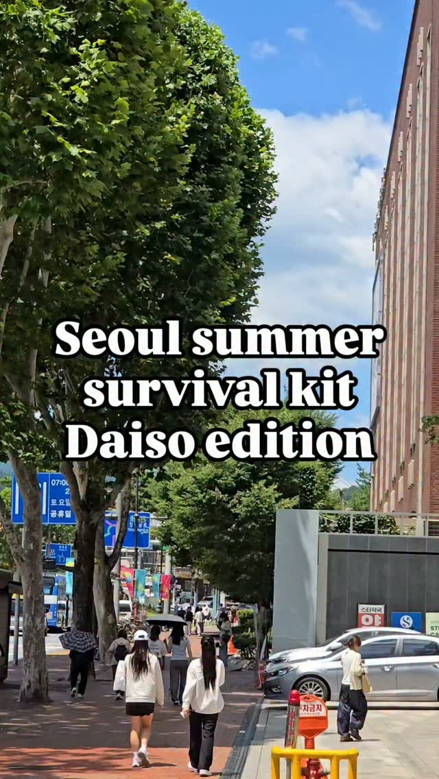 Daiso Seoul Summer Survival Essentials