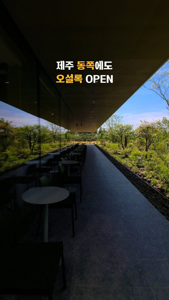 Jeju Tea Fields And Nature Destinations