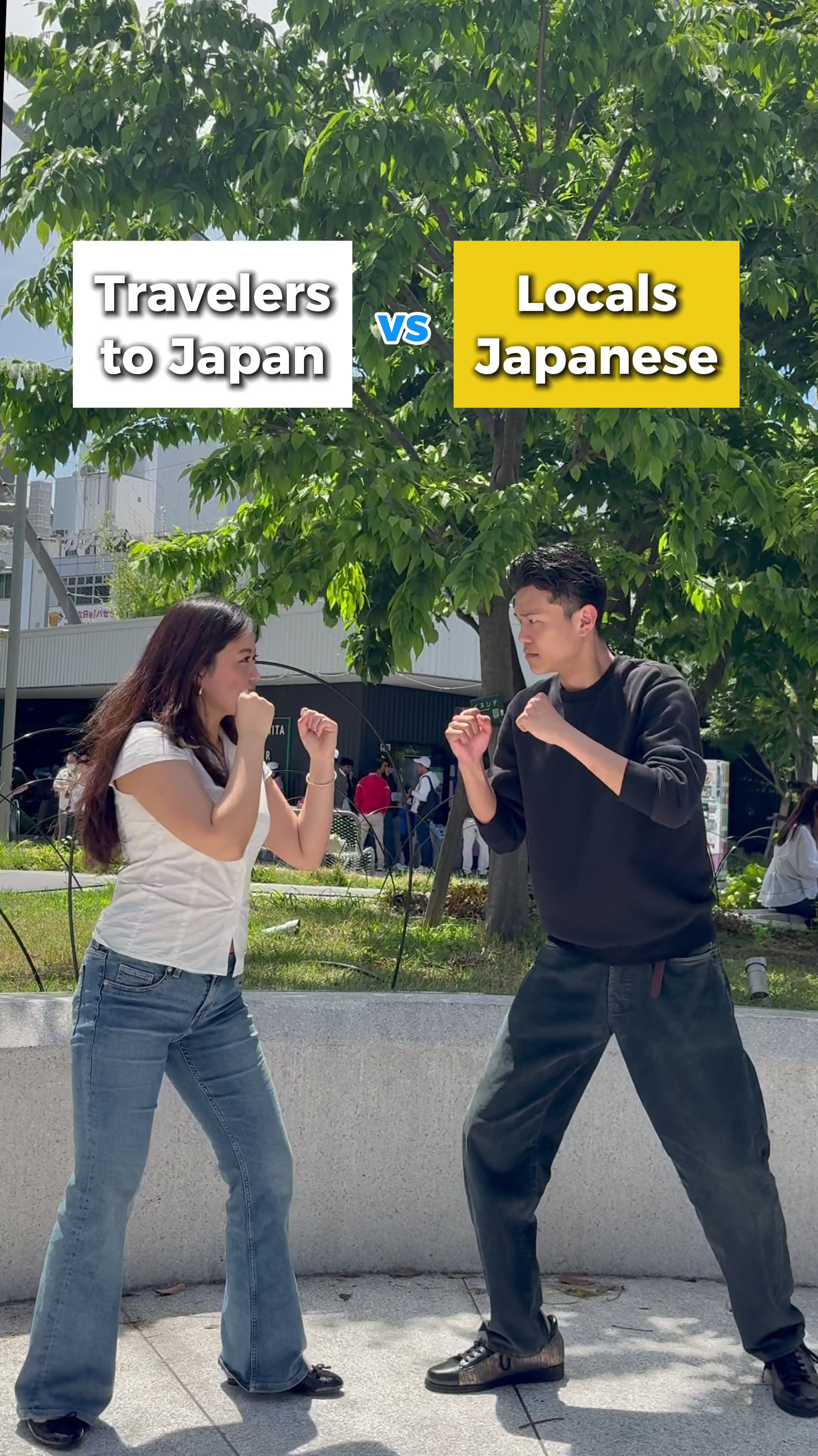 12 Shops in Tokyo