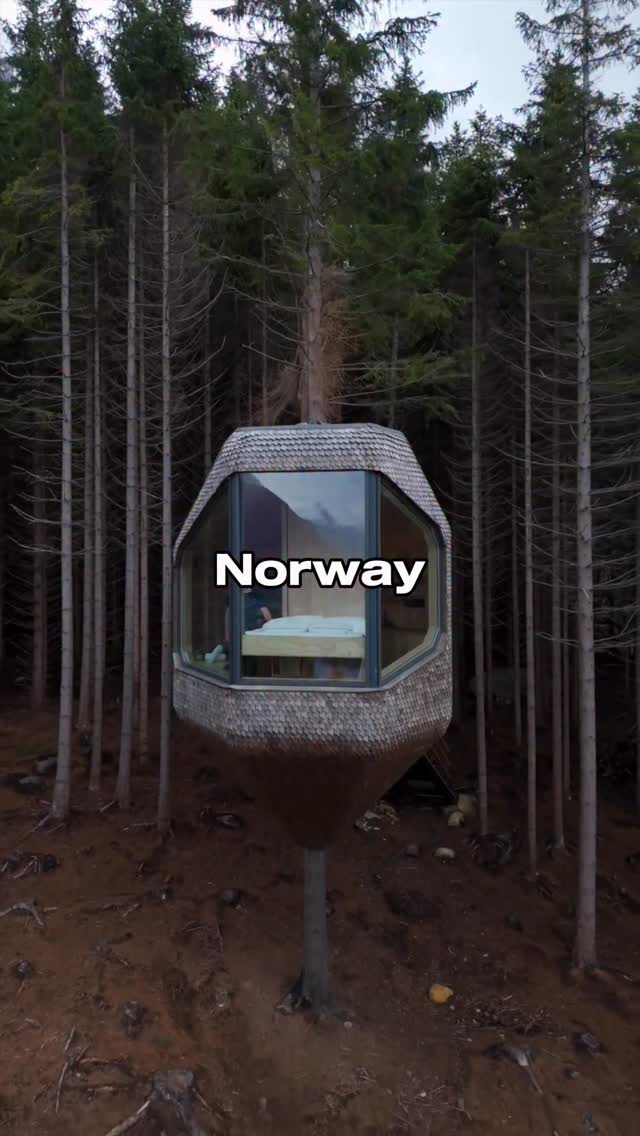 Norwegian Airbnb Treehouse Offers Mountain and Fjord Views