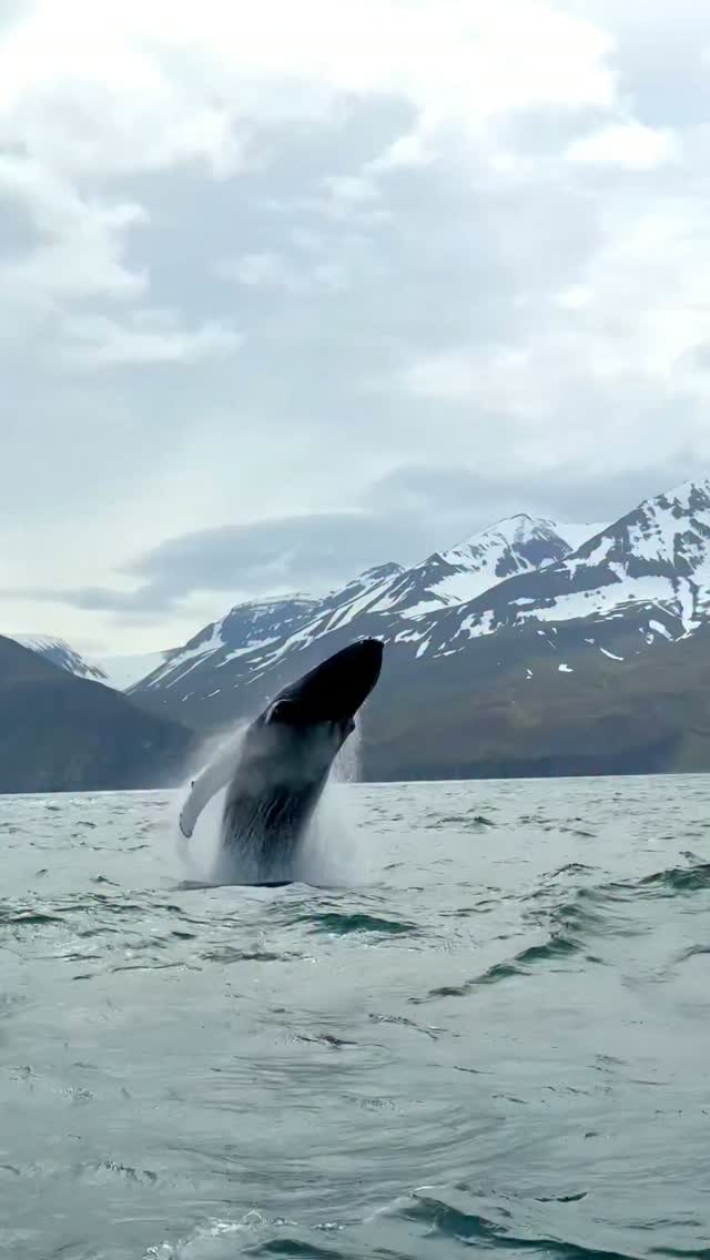 1 Places in Húsavík