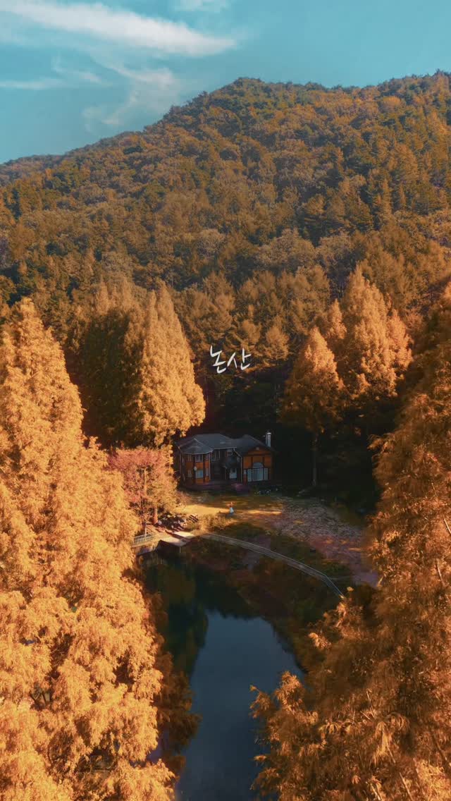 Experience Autumn's Charm at Onbit Natural Recreation Forest