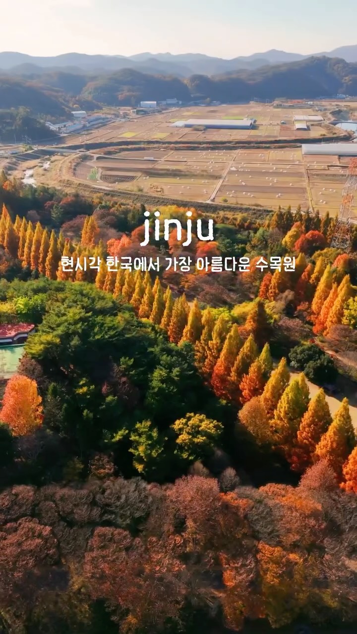 Gyeongsangnamdo Arboretum's Autumn Beauty