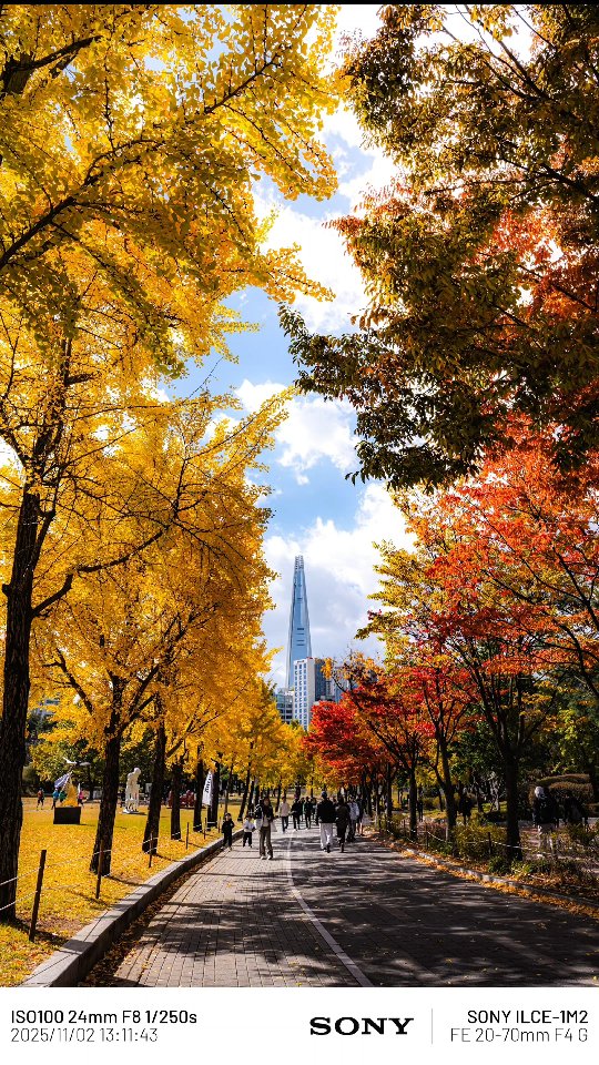 Seoul's Best Fall Views At Olympic Park