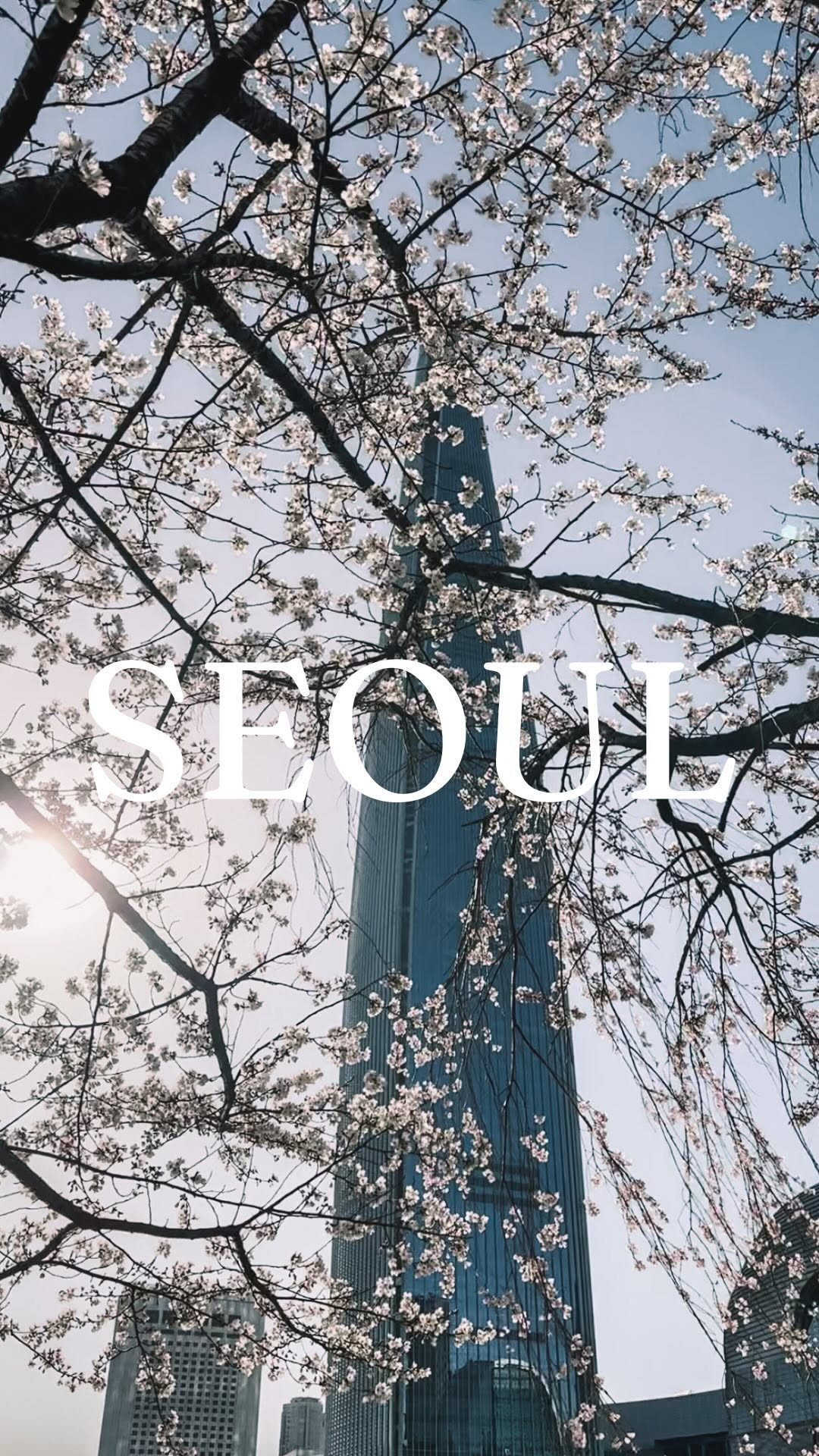 Discover Seoul's Top 13 Attractions