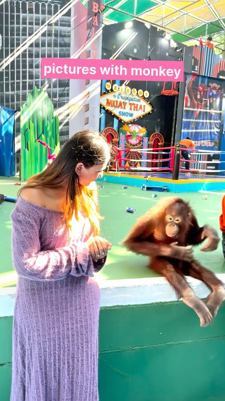 Safari World Bangkok Animal Shows and Activities