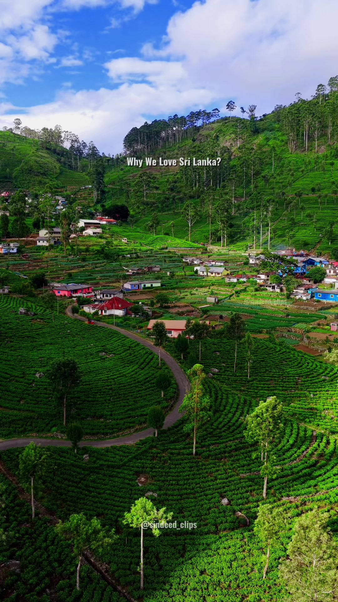 Tea Plantations and Lush Landscapes of Sri Lanka