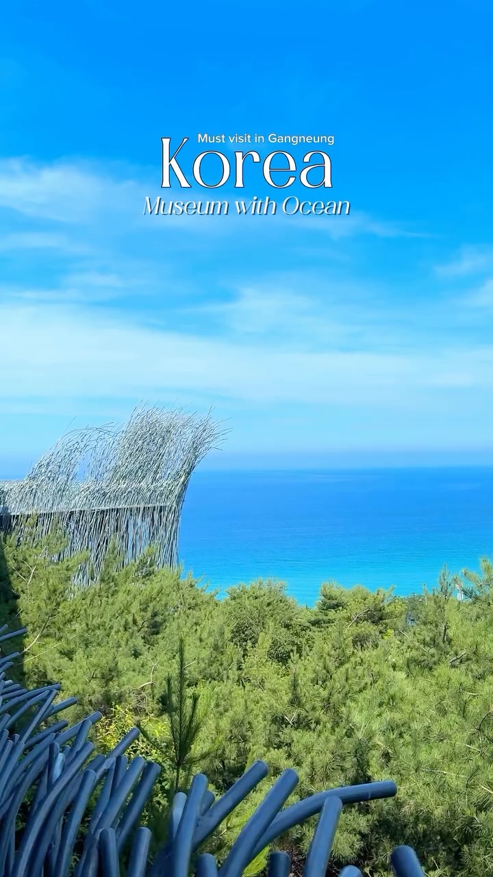 Haslla Art World: Stunning Ocean Views and Exhibits