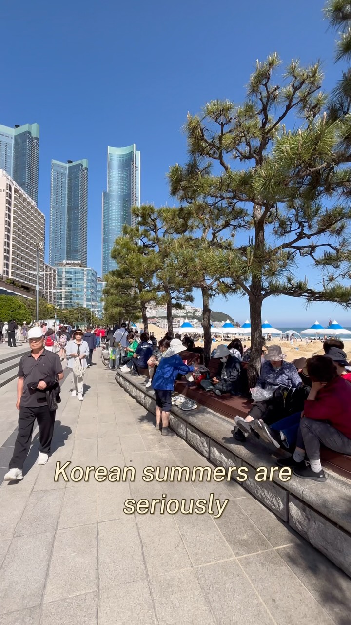Korean Summer Day At A Busan Water Park