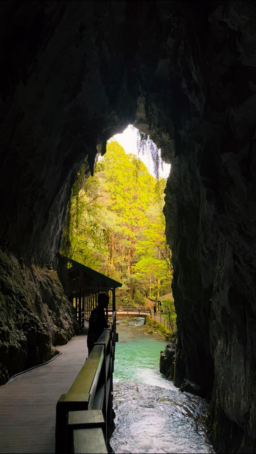 Explore Limestone Caves and Sake Breweries