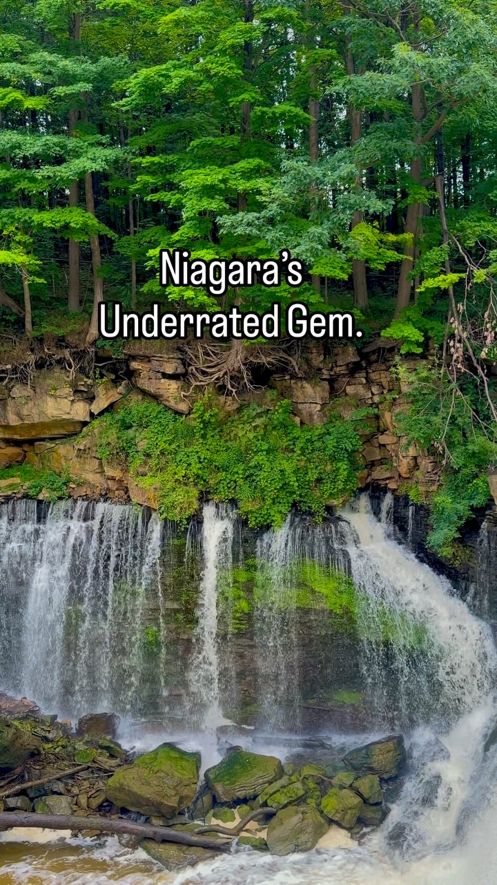 2 Nature spots in Lincoln