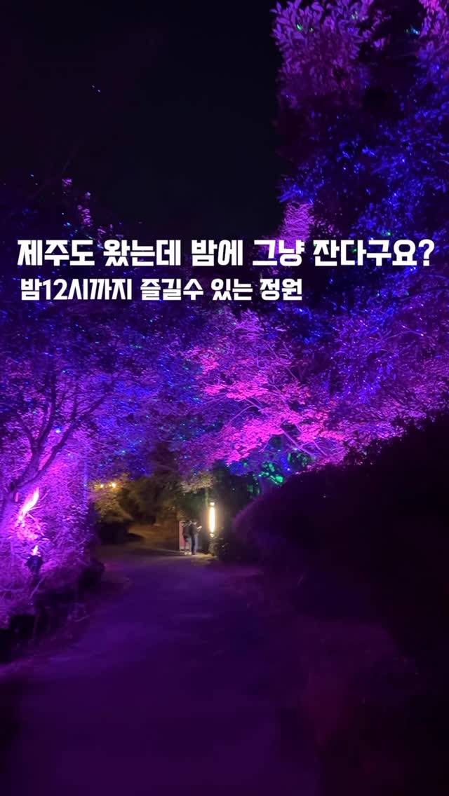 Lunafall: Jeju's Nighttime Media Art Park