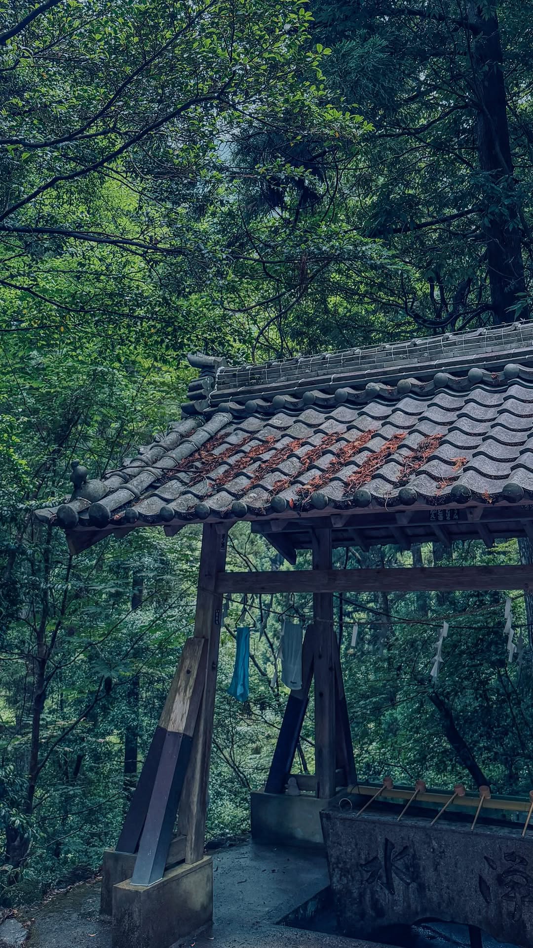 Taki Shrine's Serene Waterfall and Mossy Gates