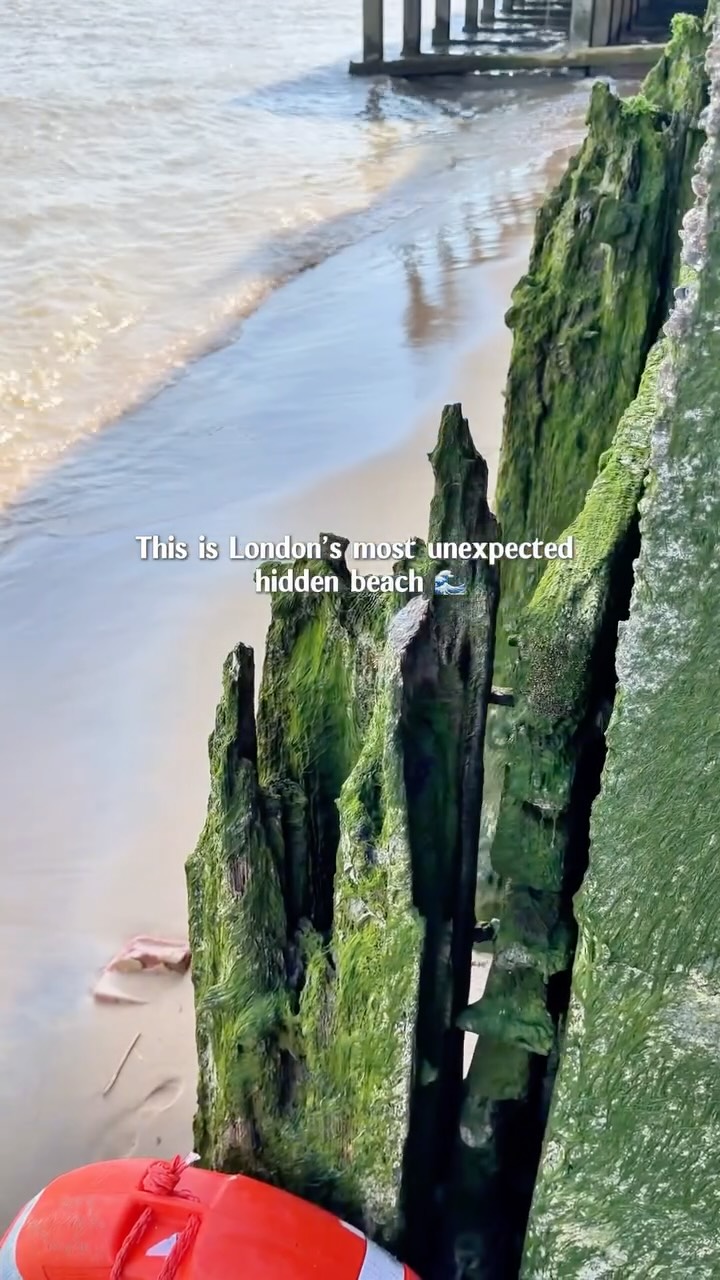London's Hidden Beach Unveiled at Pelican Stairs