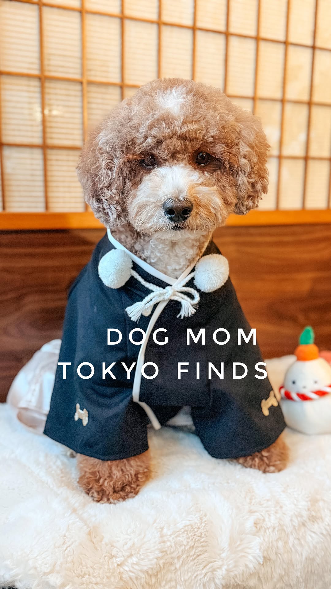 Tokyo's Pet Stores For Outfits And Essentials