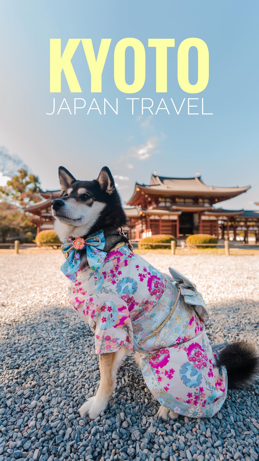 Dog-Friendly Kyoto Trip Featuring Nara And Uji