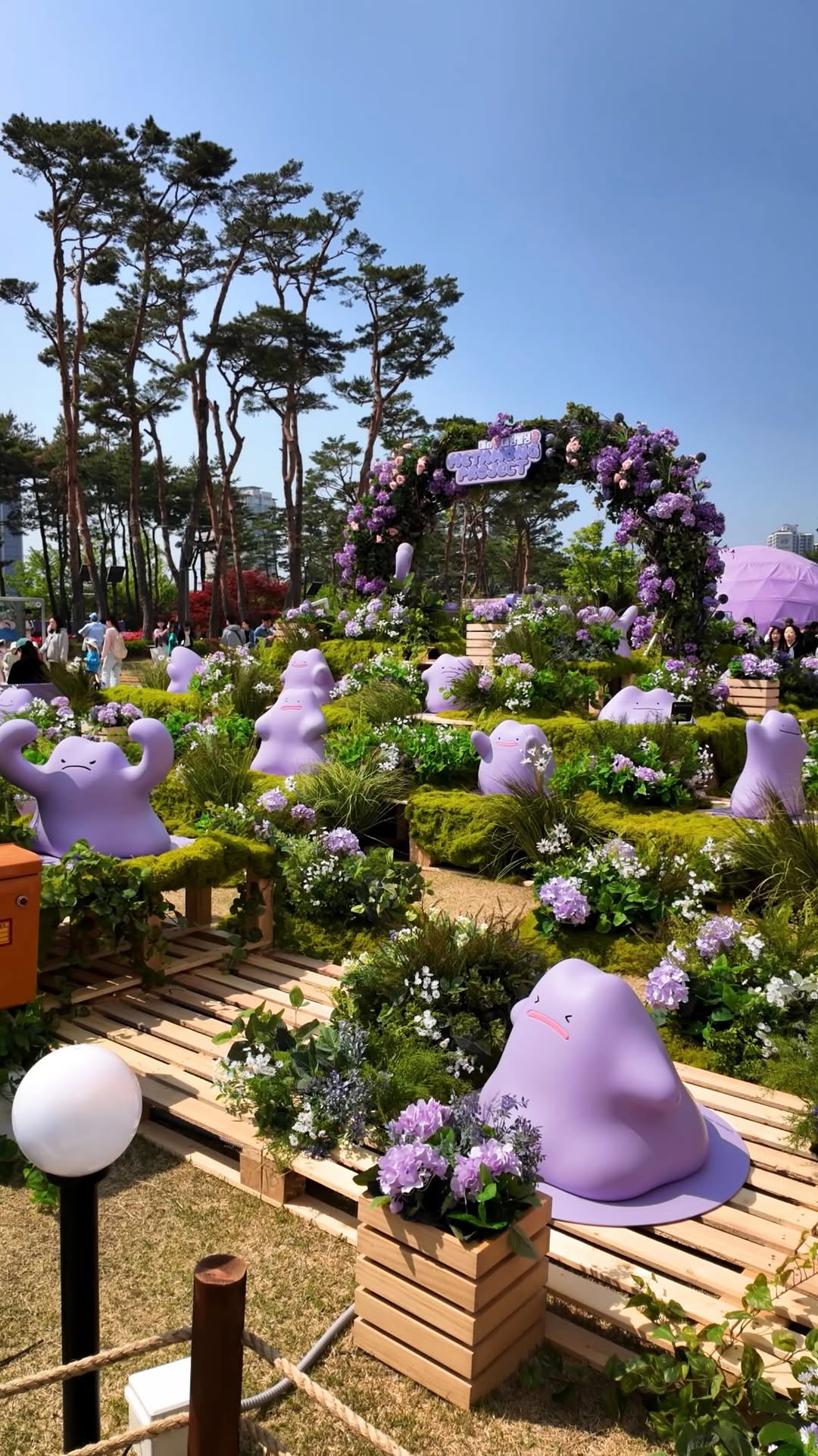 5 Places in Seoul