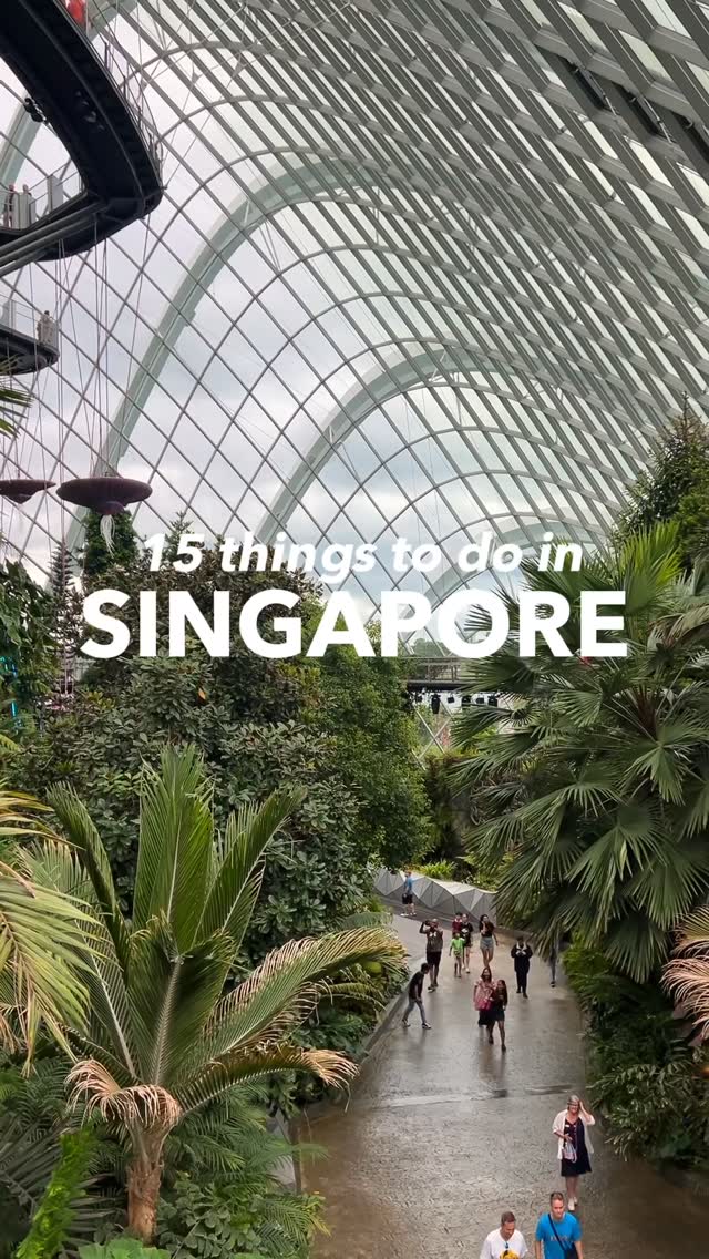 Singapore Attractions: Theme Parks, Zoos, and More