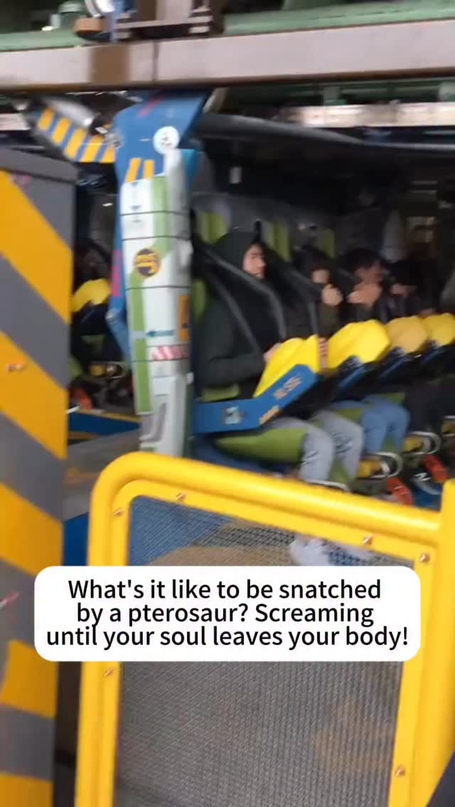 Universal Studios Japan Private Tour Guide Experience
