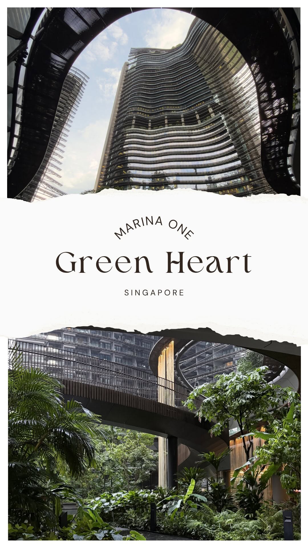 Singapore's Secret Green Spaces