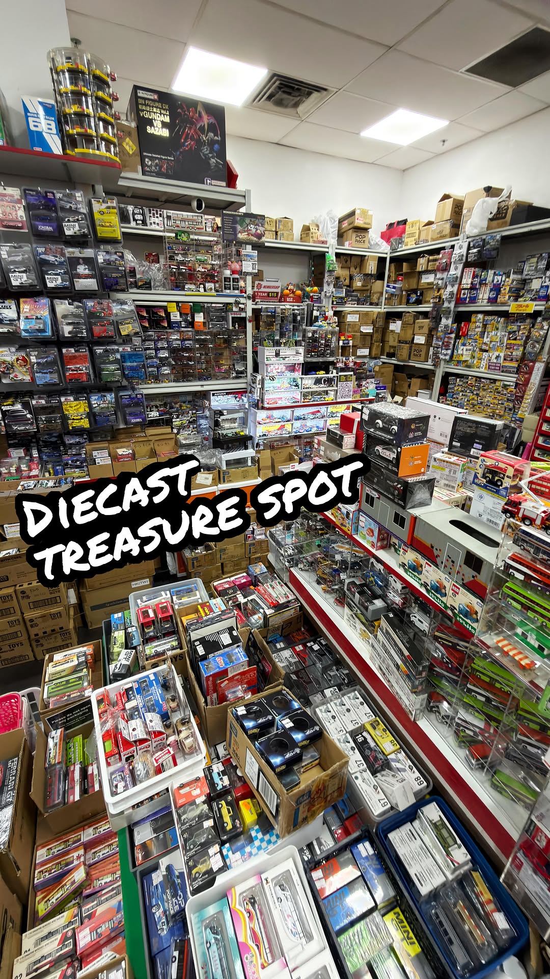 Diecast Collector's Haven in Singapore