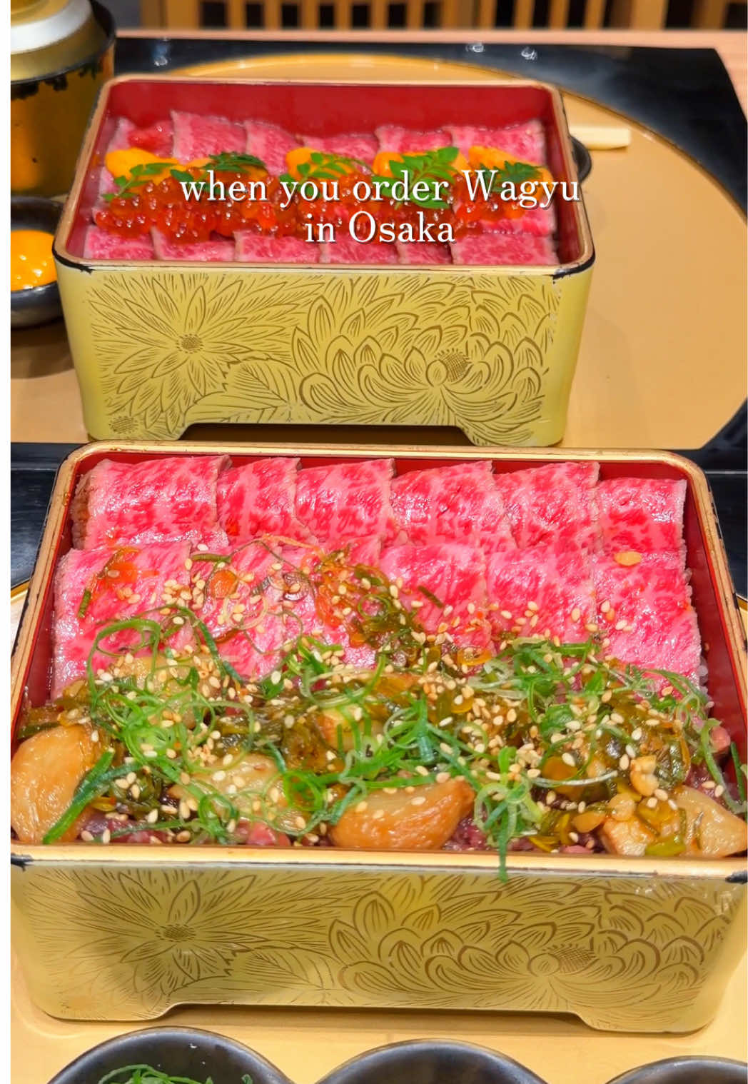 Premium Wagyu Rice Bowls in Osaka's Namba