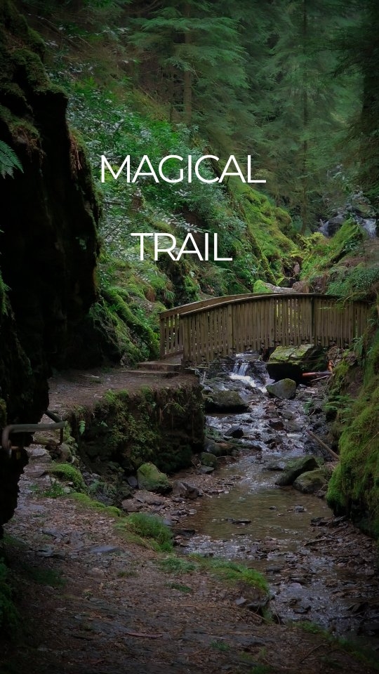 Puck's Glen: Scotland's Enchanted Fairy Trail