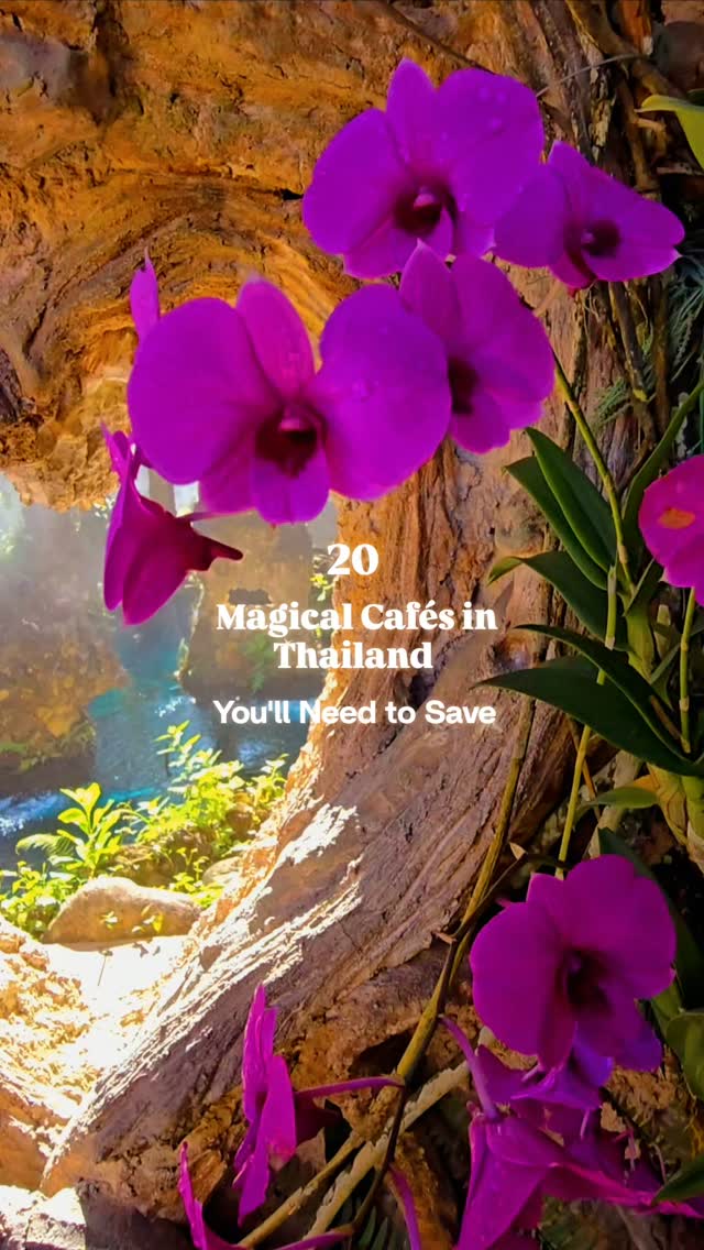 Magical Themed Cafés Across Thailand