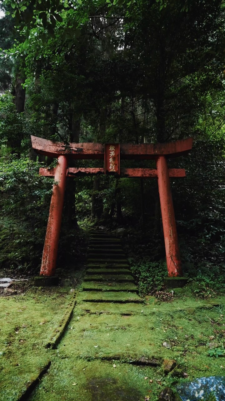 Four Yamaguchi Wonders: Shrine, Cave, Bridge, and Forest