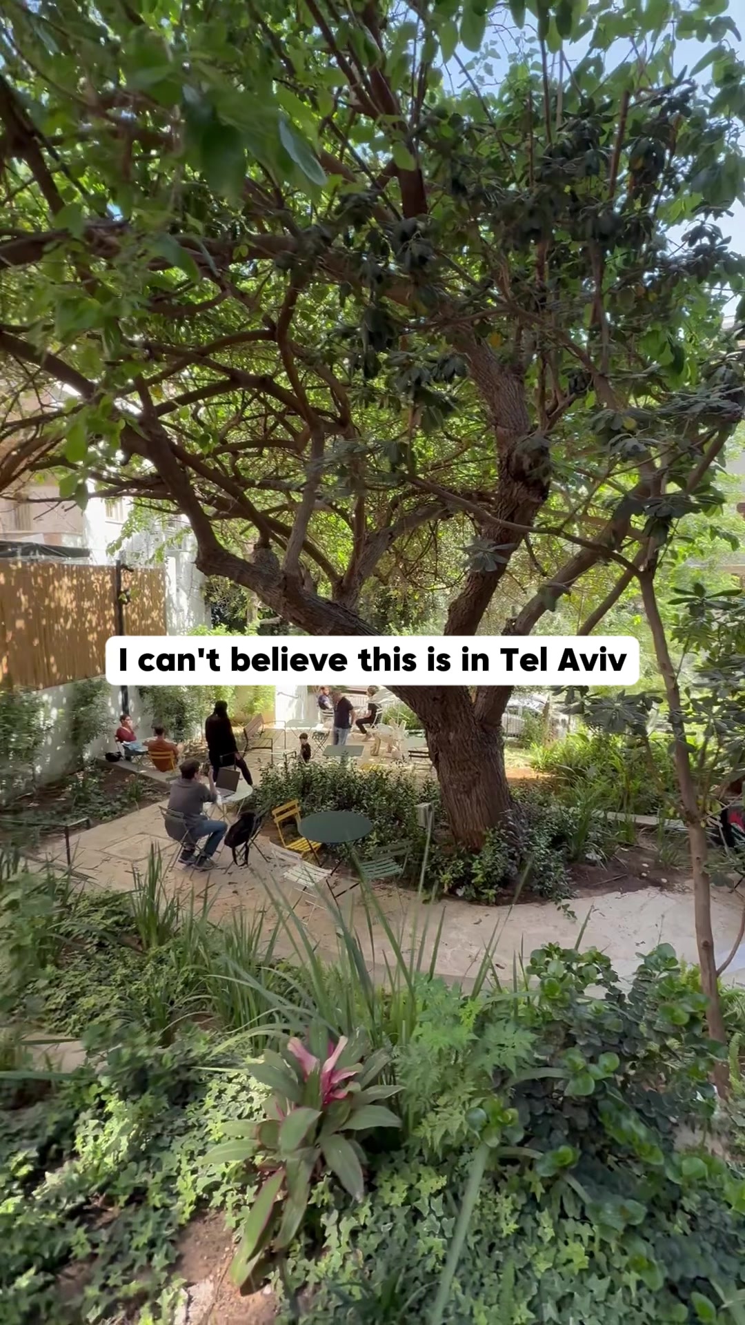 1 Bakeries in Tel Aviv-Yafo
