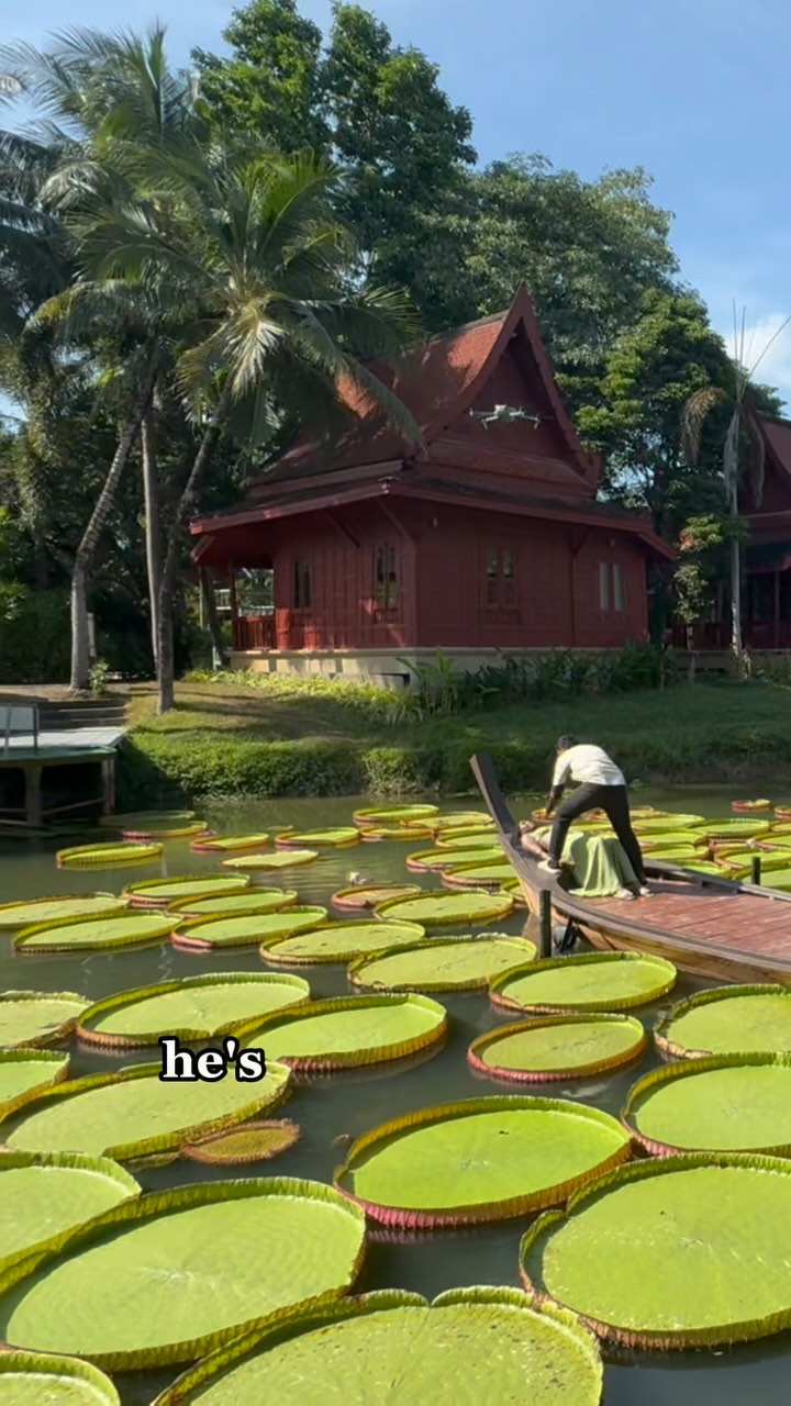 Thailand Lily Pad Photoshoot Experience