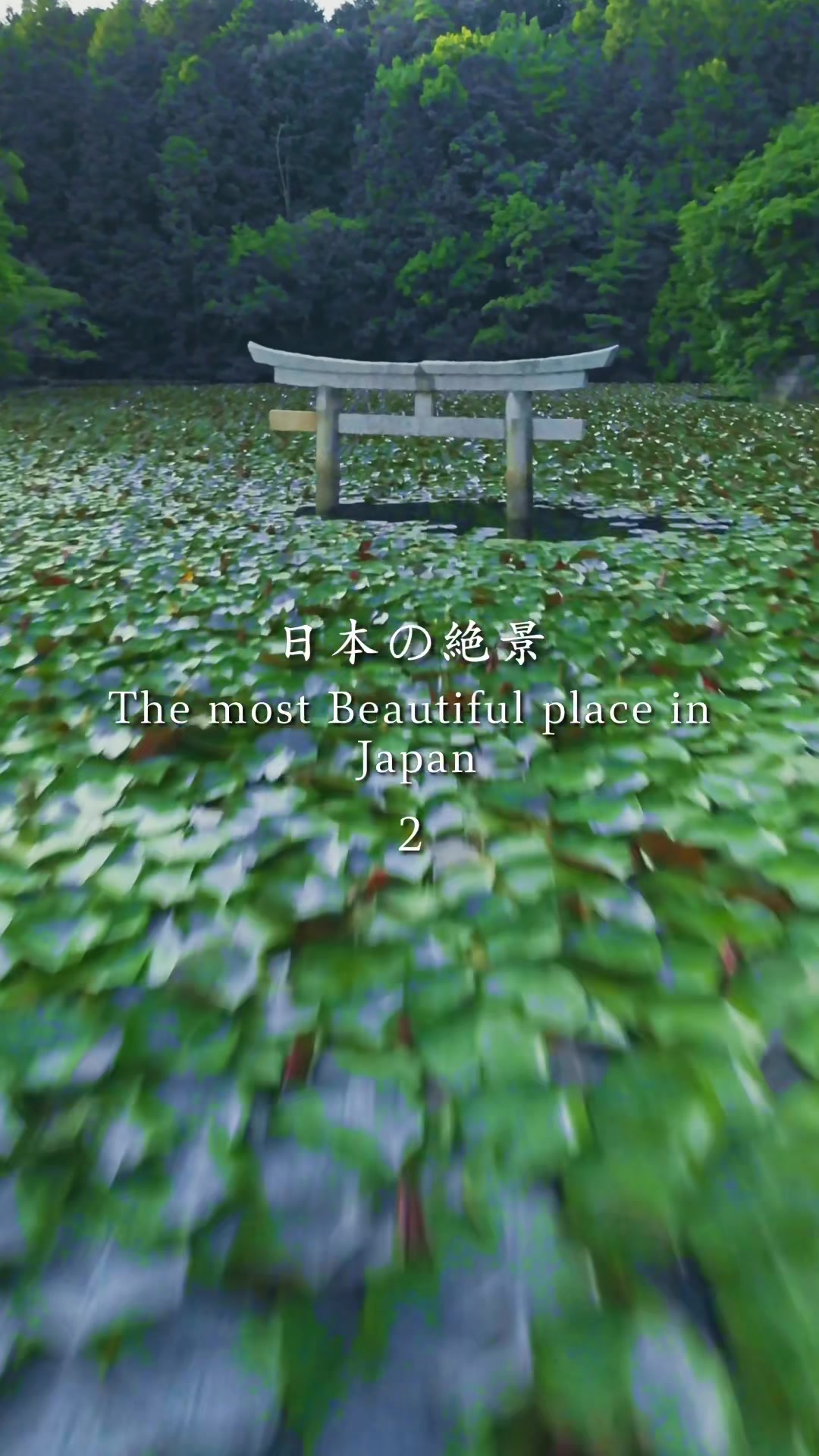 31 Attractions in Japan