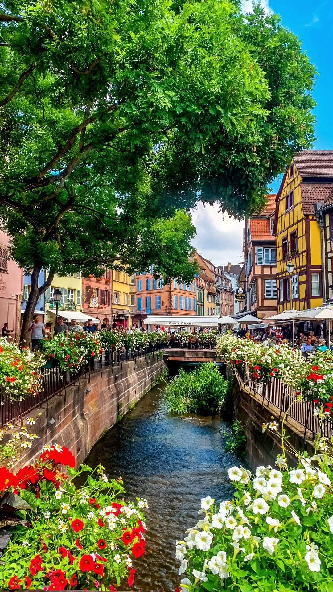 Fairytale Towns Of Alsace France Road Trip